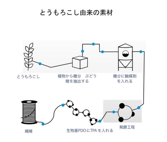 ただただ着心地の良いBotanicaltech®Ｔシャツ。とうもろこし由来高機能天然の肌触り。