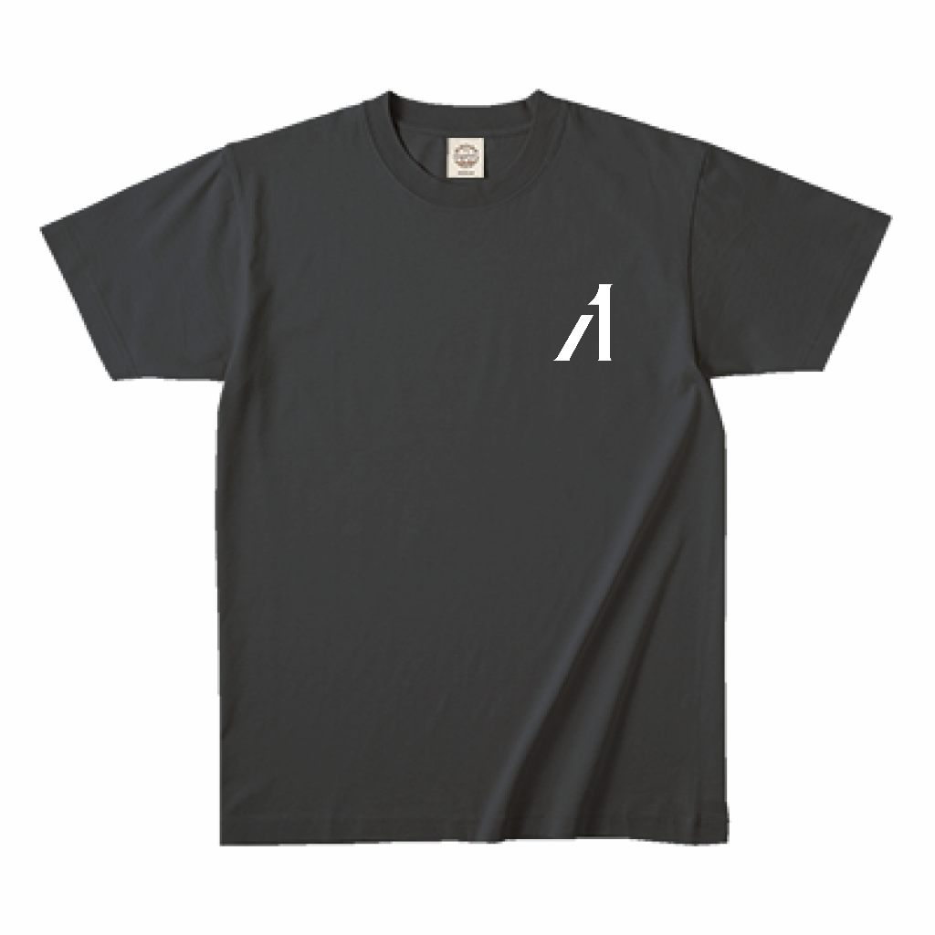 "T2027" Sumi black short sleeve T-shirt. We offer comfort according to the temperature. ORGANIC 100% cotton